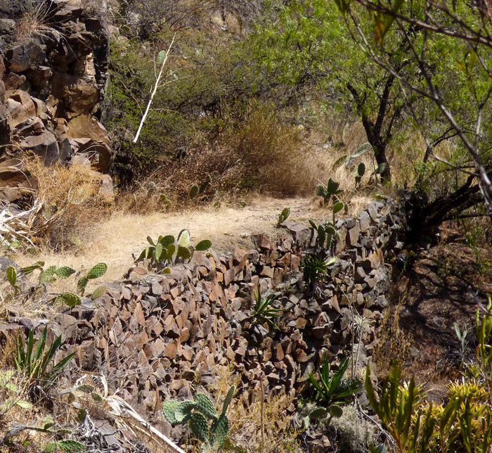 Camino ancestral Wari en Huanta