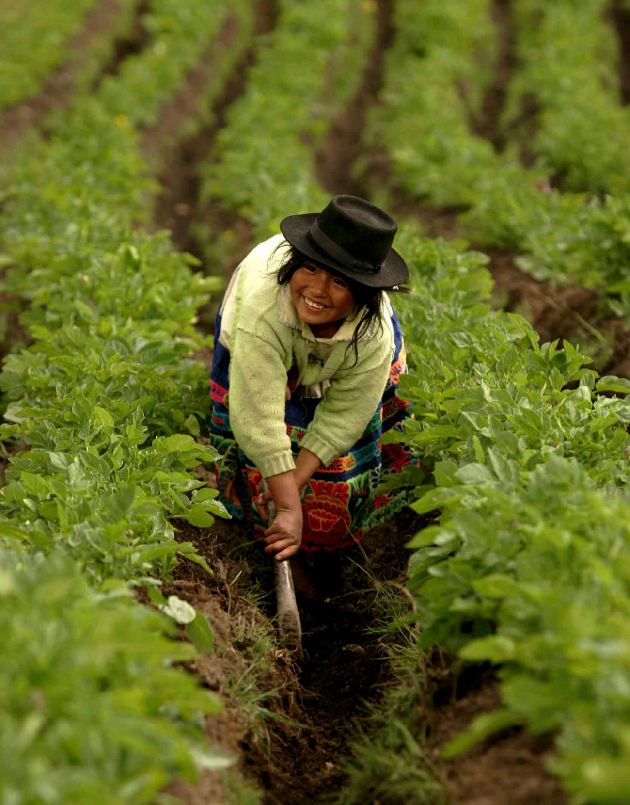 Campesina ayacuchana arando la tierra de manera tradicional © Antonio Escalante