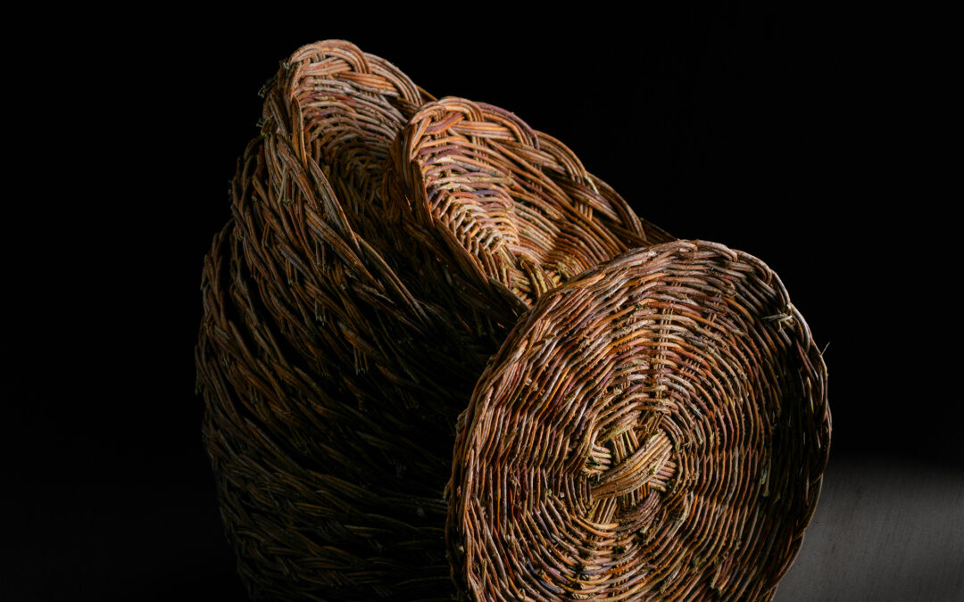 María Gutierrez Barrientos