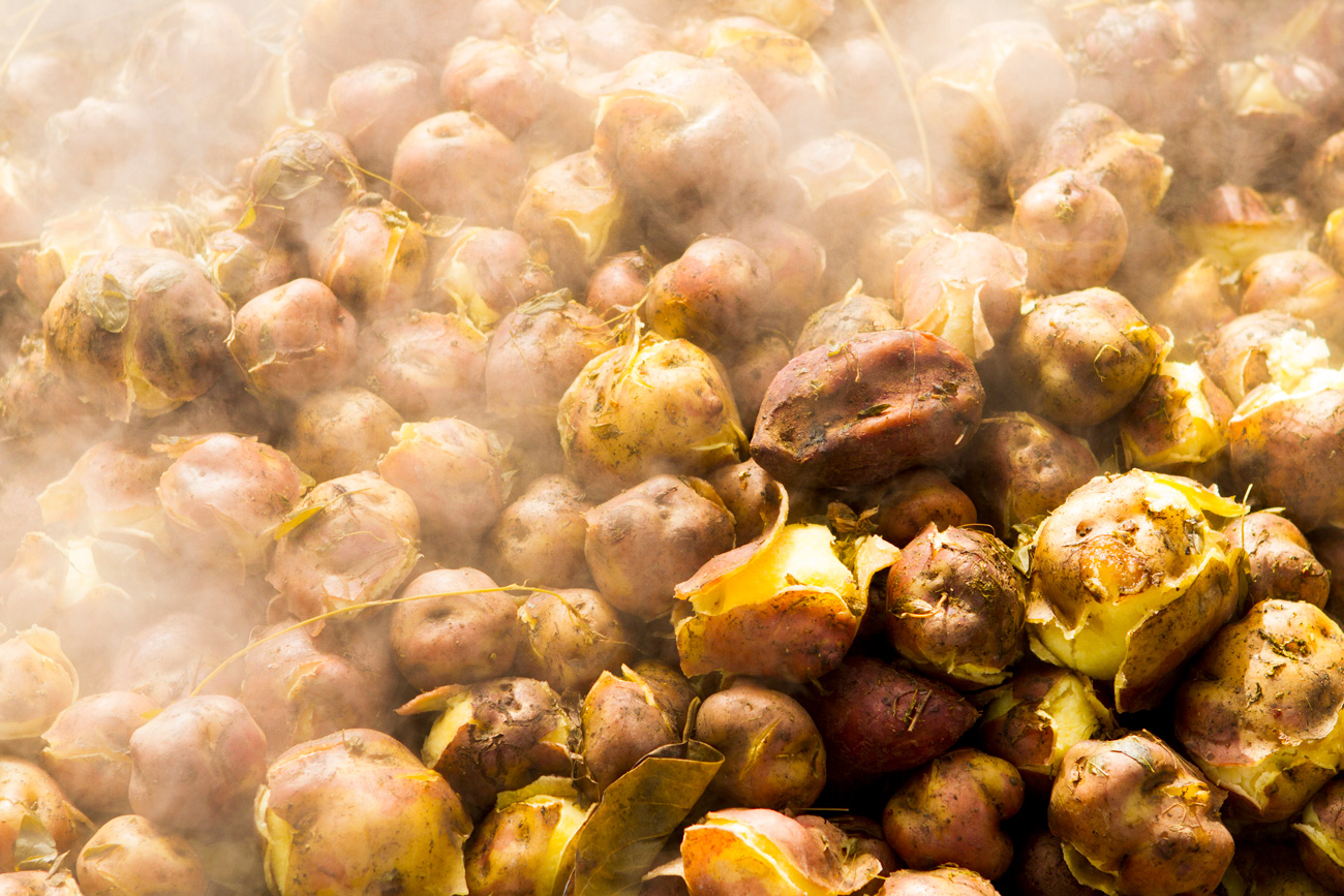 Papas Nativas